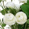 Floristik24 Bouquet de renoncules blanc 42cm
