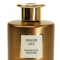 Floristik24 Diffuseur de parfum d&#39;ambiance bâtonnets de parfum Ginger Lily 150ml