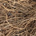 Couronne de vigne de 25 cm pour loisirs créatifs et décoration | Floristik24.be