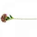 Floristik24 Hortensia artificiel rose, Bordeaux fleur artificielle grand 80cm