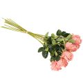 Bouquet de 12 roses