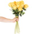 Roses artificielles à longue tige, 62 cm, lot de 12 | Floristik24.be