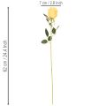 Roses artificielles à longue tige, 62 cm, lot de 12 | Floristik24.be