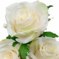 Floristik24 Rose Blanche sur une Tige Fleur de Soie Rose Artificielle 3pcs