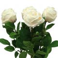Floristik24 Rose rose 65cm 4pcs