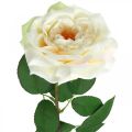 Floristik24 Rose abricot blanc crémeux, fleur de soie, roses artificielles L72cm Ø12cm