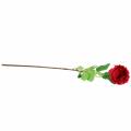 Floristik24 Fleur artificielle rose rouge 72cm
