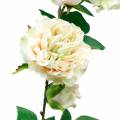 Floristik24 Romantique Rose Guirlande Fleur De Soie Rose Artificielle Vigne 160cm