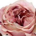 Floristik24 Crème de tête rose, rose 17cm 4pcs
