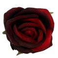 Floristik24 Têtes de rose rouges Ø 7,5 cm 8 p.
