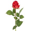 Floristik24 Branche de rose en soie, rose artificielle rouge 72 cm, lot de 3