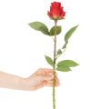 Branche de rose en soie, rose artificielle rouge 72 cm, lot de 3 | Floristik24.be