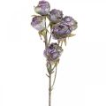 Floristik24 Branche de Rose Fleur de Soie Décoration de Table Art Rose Violet Antique L53cm