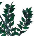 Floristik24 Branches décoratives vertes Ruscus vert foncé 75-95cm 1kg