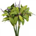 Floristik24 Bouquet de sauge artificielle, fleurs en soie, branches de sauge violette artificielle L26cm 4pcs