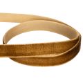 Ruban décoratif en velours, étroit, 10 mm de large, 20 m de long, en rouleau | Floristik24.be