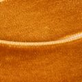 Ruban de velours, ruban décoratif pour loisirs créatifs et emballage, 20 mm, 10 m | Floristik24.be