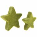 Floristik24 Scatter décoration étoiles floquées vert mousse 4cm/5cm 40p