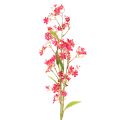 Floristik24 Branche artificielle fleurie d'orchidée Oncidium, décoration 112 cm, lot de 3