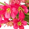 Branche artificielle fleurie d'orchidée Oncidium, décoration 112 cm, lot de 3 | Floristik24.be