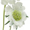 Floristik24 Scabious fleur artificielle blanche fleur de jardin H64cm bouquet avec 3pcs