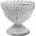 Floristik24 Trophée décoratif bol décoratif en métal blanc avec bord couronne H15cm