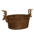 Floristik24 Bol décoratif ovale en forme de tête de renne, couleur rouille, style rustique, 41 cm