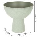 Bol décoratif avec support pour plantes, 25 cm | Floristik24.be