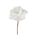 Floristik24 Roses en mousse blanches en nacre 2,5 cm de Ø 120 ex