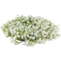 Floristik24 Couronne de gypsophile couronne de fleurs blanches mariage Ø30cm