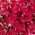 Couronne de fleurs artificielles, décoration de gypsophile, 30 cm | Floristik24.be