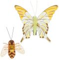 Floristik24 Papillon, abeille déco sur clip 4cm - 8cm 9pcs