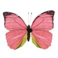 Floristik24 Papillon rose sur clip 11cm 6pcs