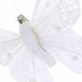 Floristik24 Plume papillon sur clip blanc 10 cm 12 pcs