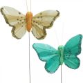 Floristik24 Papillon à paillettes, bouchons déco, plume papillon printemps jaune, turquoise, vert 4×6.5cm 24pcs