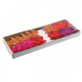 Floristik24 Printemps, papillons en plumes avec mica, papillon déco rouge, orange, rose, violet 4×6,5cm 24pcs