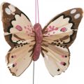 Floristik24 Papillons en plumes, papillons décoratifs sur un bâton, bouchons de fleurs rose, orange, violet, marron, bleu, beige 6×8cm 12pcs