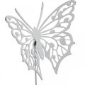 Floristik24 Bouchon fleur papillon, décoration jardin métal, bouchon plante shabby chic blanc, argent L51cm 3pcs