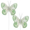 Floristik24 Papillon 7,5cm vert-gris, glitter 4P