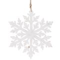 Grand flocon de neige