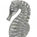 Floristik24 Hippocampe à poser, décoration mer en métal, sculpture maritime argent, couleurs naturelles H22cm