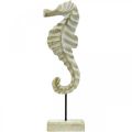Floristik24 Hippocampe en bois, décoration maritime, figurine décorative animal marin couleur naturelle, blanc H35cm