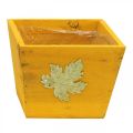 Floristik24 Boîte à plantes bois shabby chic boîte en bois jaune 11×14.5×14cm
