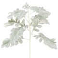 Floristik24 Branche de séneçon artificielle, feuille d'argent, finement travaillée, 45 cm, 3 pièces
