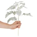 Branche de séneçon artificielle, feuille d'argent, finement travaillée, 45 cm, 3 pièces | Floristik24.be