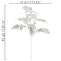 Branche de séneçon artificielle, feuille d'argent, finement travaillée, 45 cm, 3 pièces | Floristik24.be