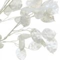 Floristik24 Branche décorative feuille d&#39;argent branche Lunaria blanche branche artificielle 70cm