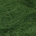 Floristik24 Fibre naturelle de sisal vert mousse pour décoration 300g