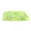 Floristik24 Sisal May décoration verte fibre naturelle fibre de sisal 300g
