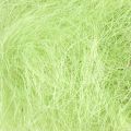 Floristik24 Sisal May décoration verte fibre naturelle fibre de sisal 300g